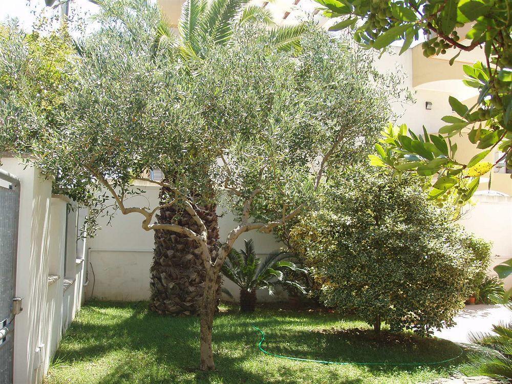 Residenza Del Sole Bed & Breakfast Surbo Exterior photo